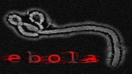 Ebola Virus Can Be Killed with Soap,Water