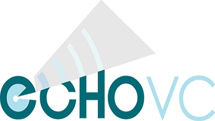 EchoVC Tips Innovation Fund as Disruptive Strategy For Job Creation