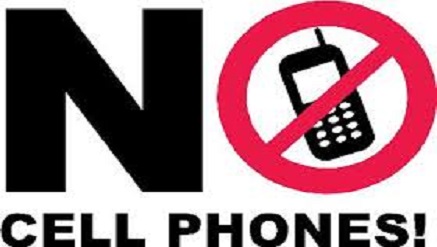 Councillor Kills Nephew over Missing Phone