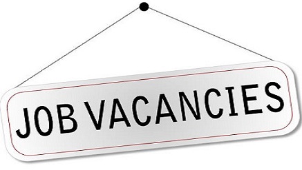 FG Orders Opening of Govt. Job Portal