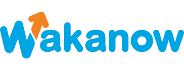 Wakanow Introduces Innovative Payment Model