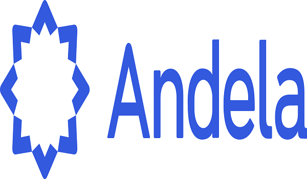 First Developer Cohorts Complete Andela Fellowship
