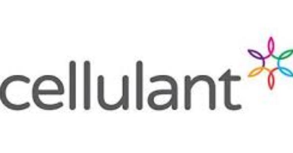Cellulant Taps Technology to Block Wastages in Agric Value Chain in Africa