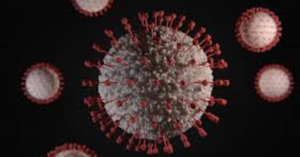 Group Develops Software Application to Fight Coronavirus