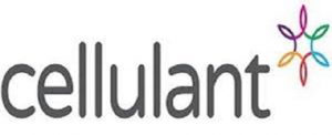 Njoroge, Cellulant CEO Leaving Firm