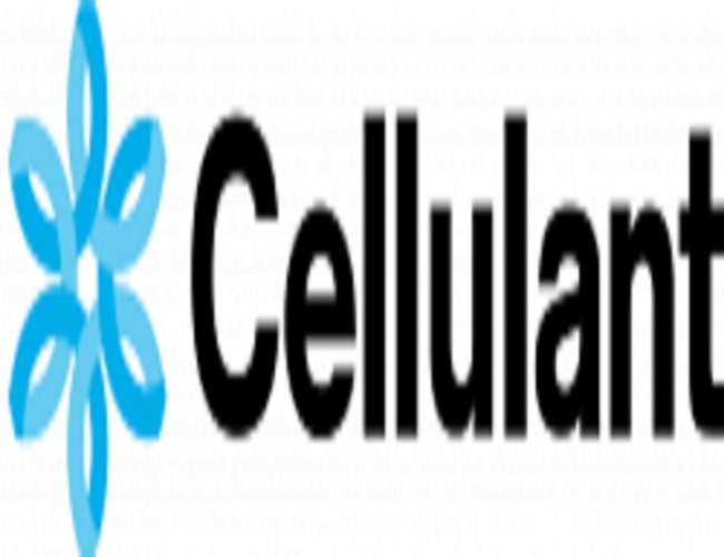 Cellulant Gets Approval from Bank of Tanzania to Become a Payment Solution Service Provider