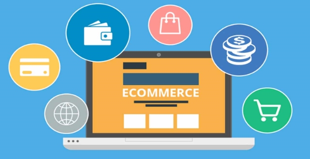 B2B e-commerce Platforms and the Consumer Goods Distribution Value Chain