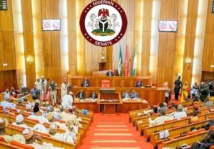 Senate Rejects Nationalisation of MTN, DStv Over Xenophobic Attacks on Nigerians in South Africa