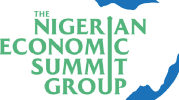 NESG says Nigeria Needs Serious Reforms to Engender Growth