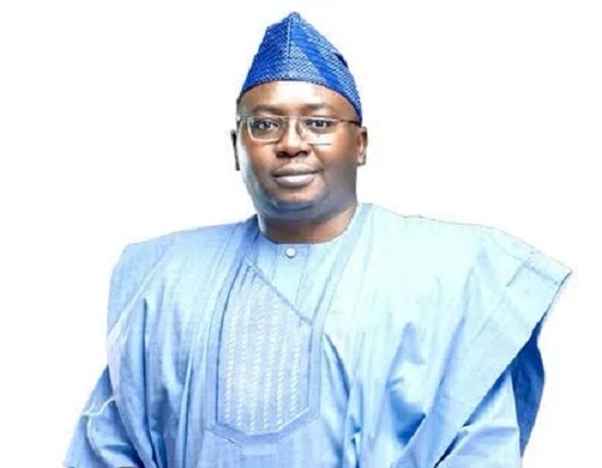 Electricity Subsidy Gulped N700bn in 2023 - Adelabu
