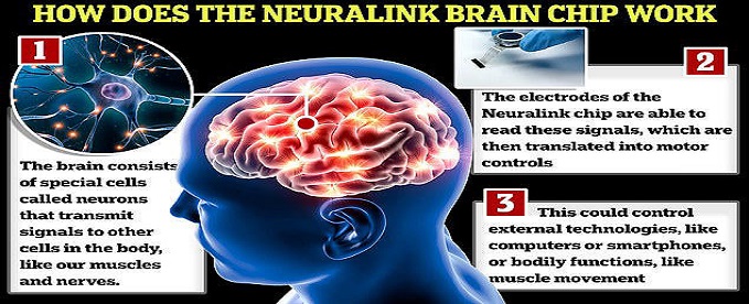Elon Musk Says First Human Implanted with Neuralink Brain Chip now Moves a 'Mouse around Screen just by Thinking'