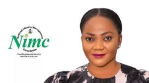 Senate Okays Bill to Allow Foreigners in Nigeria Obtain NINs