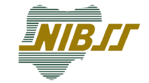 Nigeria Records First Successful Transaction on National Payment Stack