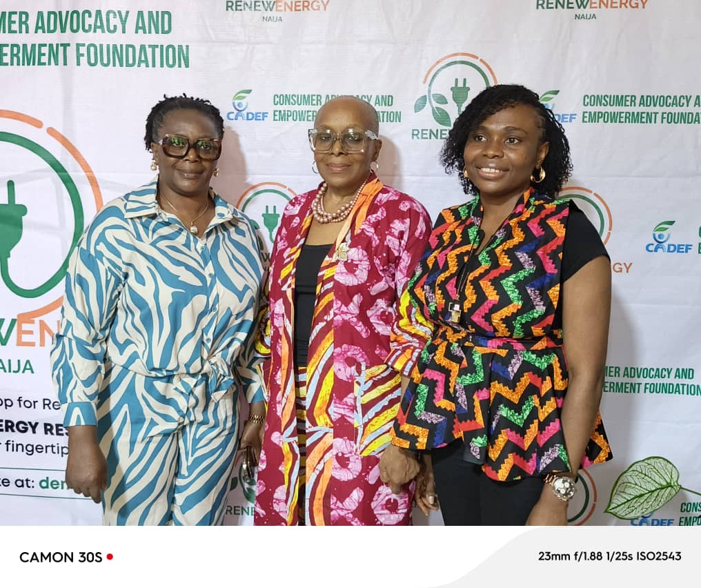 CADEF Launches Platform to Promote Renewable Energy in Nigeria