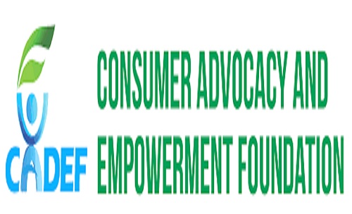 Experts at CADEF Webinar Advocate for Renewable Energy Solutions Amid Nigeria's Energy Crisis