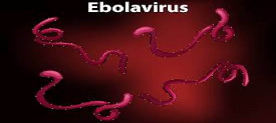 FG Says Nigeria @ ‘Moderate’ Risk following Fresh Ebola Virus Outbreak