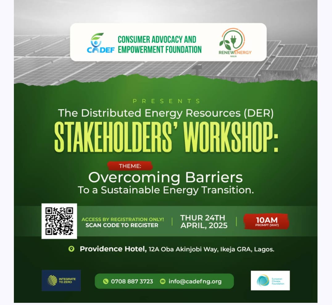 CADEF Hosts Workshop to Drive Distributed Energy Solutions in Nigeria
