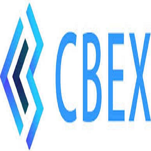 Wanted CBEX Promoter Surrenders to EFCC Amid $1 Billion Fraud Probe