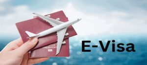 FG to E-Visa System in May 1 to Boost Border Security, Streamline Travel