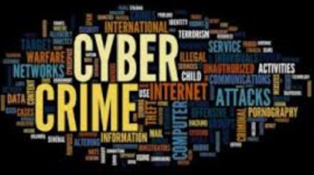 INTERPOL Report Shows Cybercrime is West, East African Most Dominant Security Concern
