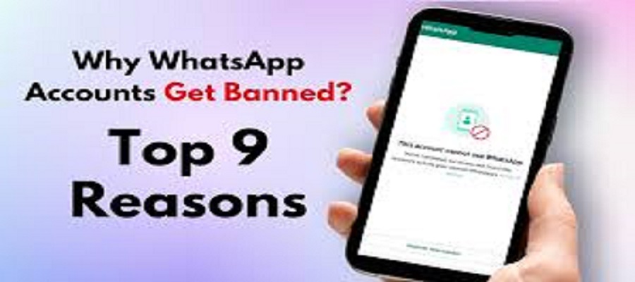 WhatsApp Bans 6.8m Scam Accounts, Rolls Out Safety Tools
