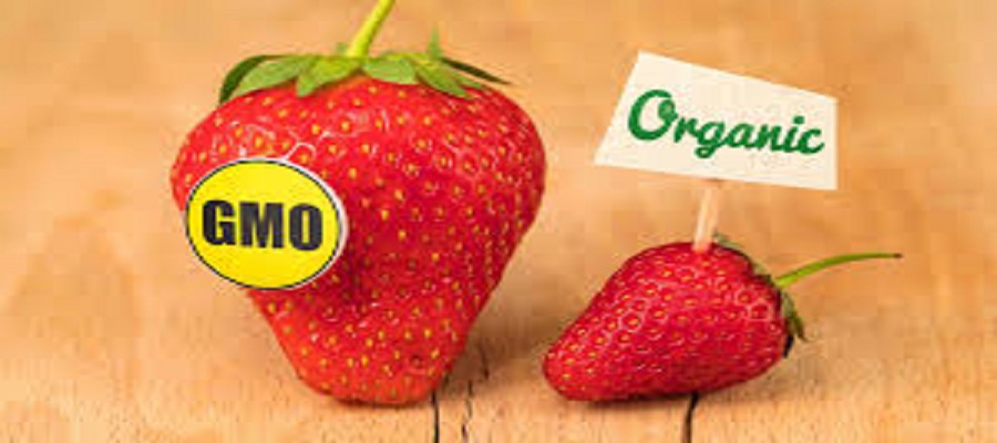 GMOs Foods are Safe- NBRDA Boss