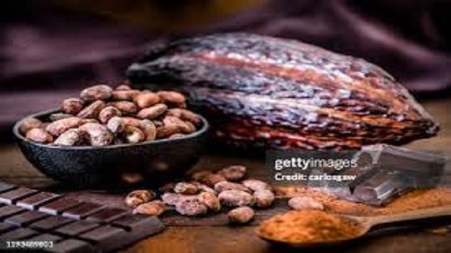 Sunbeth Secures Historic License to Launch into Ghana’s Cocoa Market