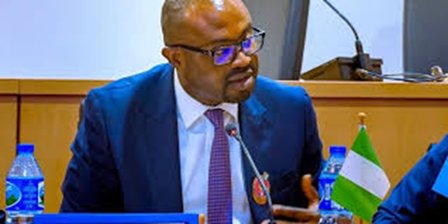 FG Can Now Track, Prosecute Visa Overstayers – Interior Minister