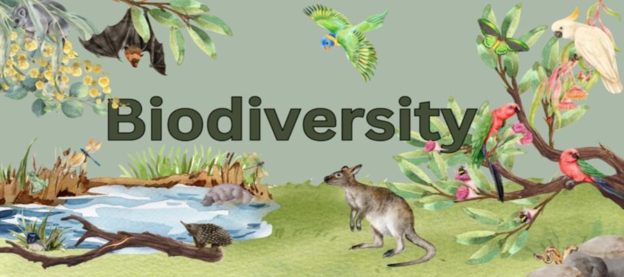 Ecobank Raises Record $450m in Nature Bond for Africa’s Biodiversity