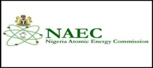 Nigeria Atomic Energy Commission Seeks Collaboration on Power Plants
