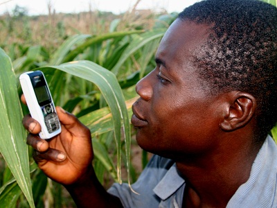 Farmer-on-GSM-phone.jpg