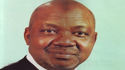 Vice Presidnet, Namadi Sambo