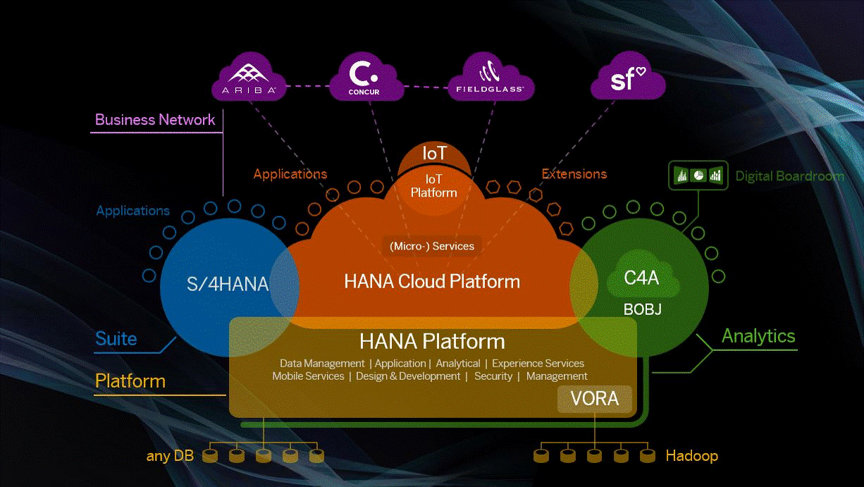 Analytics experience. Ариба Коммерс Клауд. Enterprise-платформа. SAP Digital трансформация. Пакета Digital Enterprise.