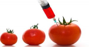 Experts Say GMO Poses Food Sovereignty Risk