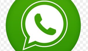 WhatsApp Gifts Users “Mute Forever” Feature for Chats