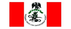 NDLEA Kicks as Lawmakers Move to Legalise Indian Hemp