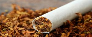 FG to Hike Tax on Tobacco Products by 50 Percent