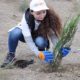 Qnet-tree-planting