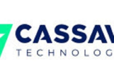 Cassava