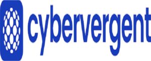 Omotosho, Cybervergent Boss Says Cybersecurity Essential for Vital Infrastructure Protection