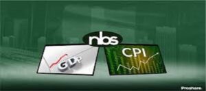 Why Nigeria is Rebasing GDP, CPI by NBS